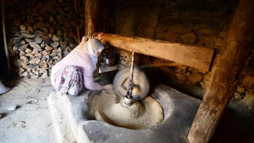 Hizan'da üretilen çeltik asırlık su değirmeninde öğütülüyor