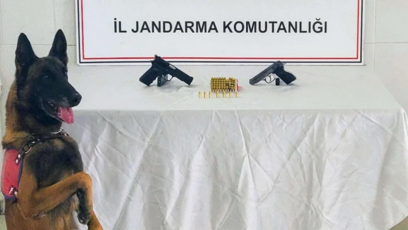 Gümüşhane'de ruhsatsız tabanca ve kaçak alkol operasyonunda 2 kişi yakalandı