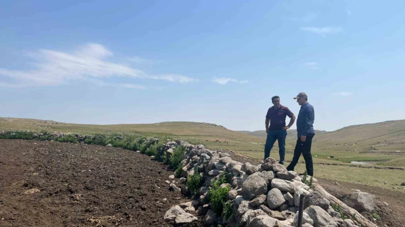 Kars'ta şap hastalığıyla mücadele sürüyor