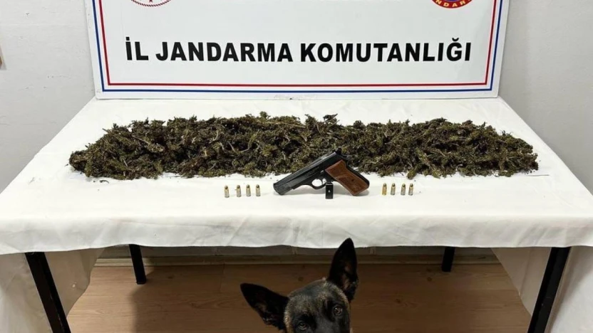 Tokat'ta bir araçta 2 kilo 300 gram esrar ele geçirildi
